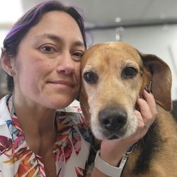 A person in a patterned shirt holds a small brown-and-tan dog close to the camera, smiling while the dog looks directly ahead.