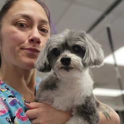 A person holding a small gray-and-white dog with a black nose and dark eyes indoors, looking toward the camera.